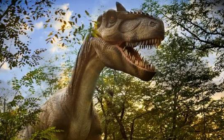 Taiwanese Researchers Uncover Dinosaur Egg Incubation Secrets
